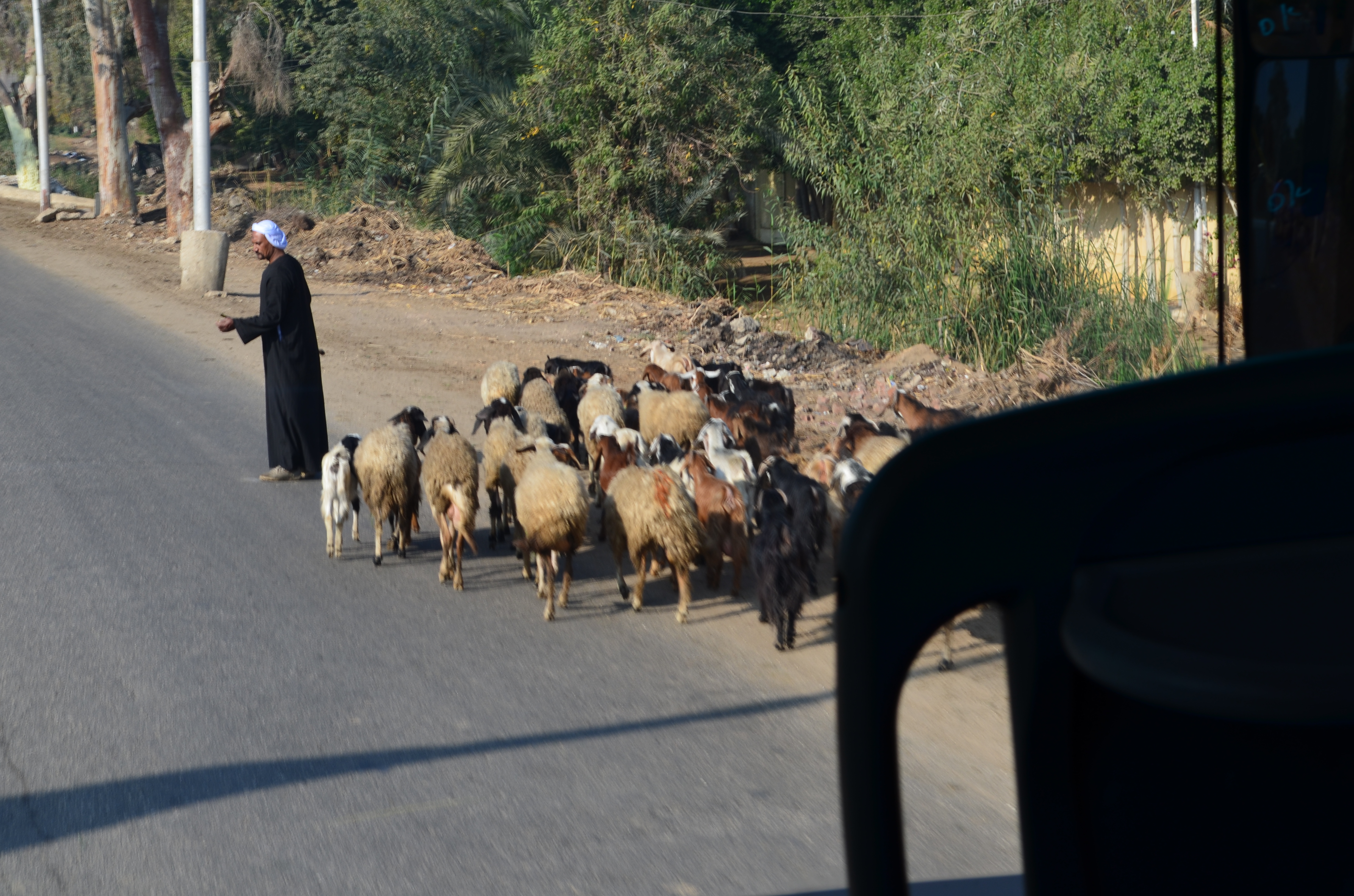 ./2018/16 - Egypt/03 - Pyramids/DSC_0065.JPG
